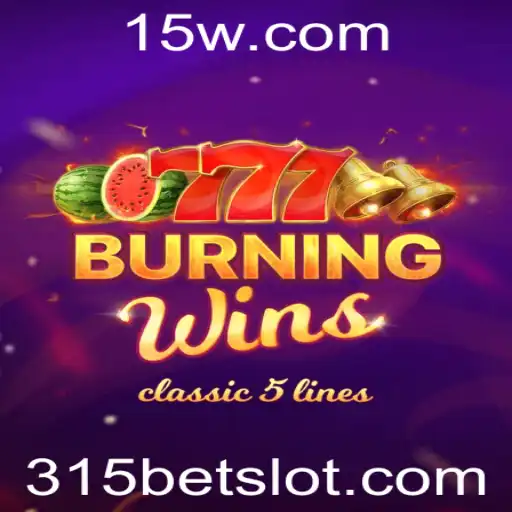 315BET Casino App